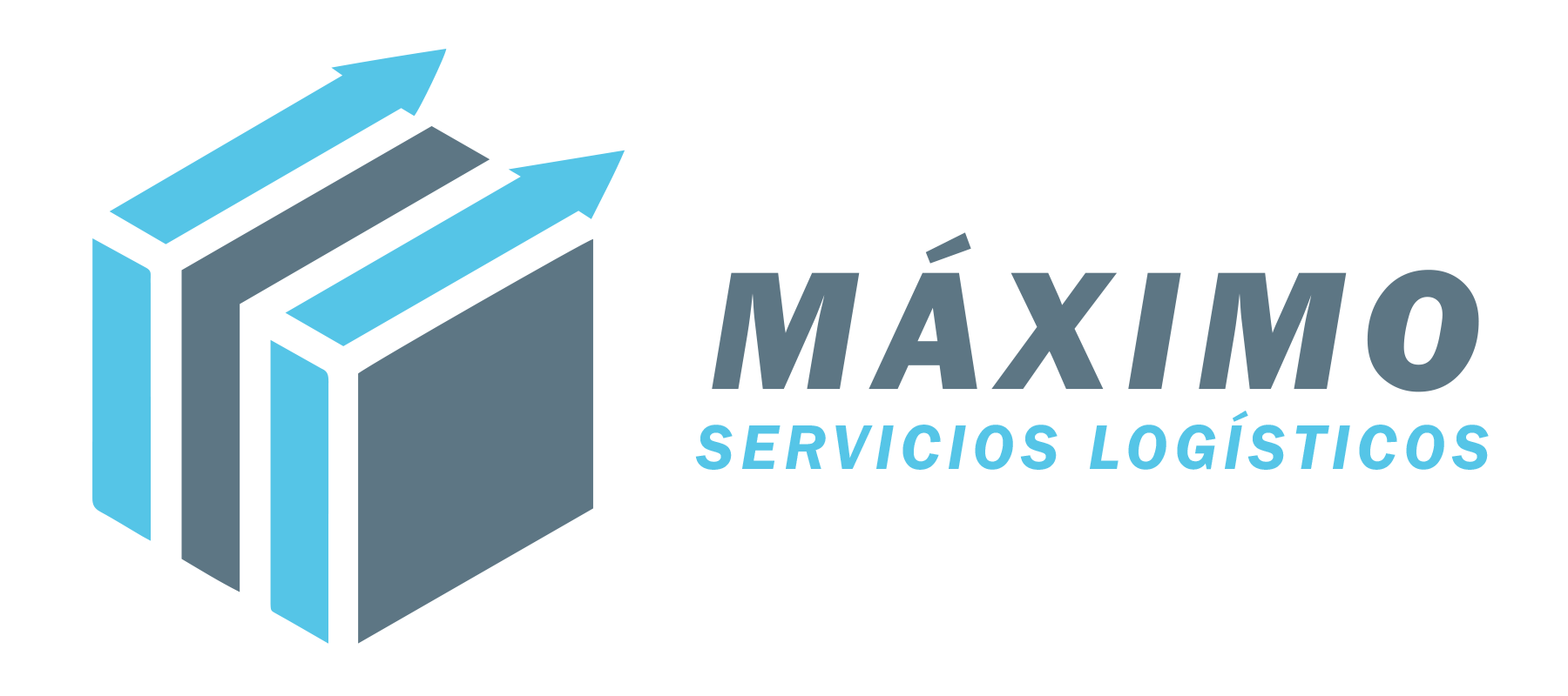 Máximo Servicios Logísticos